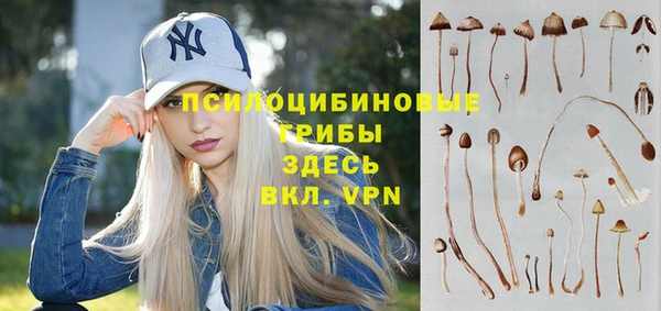 не бодяженный Бородино