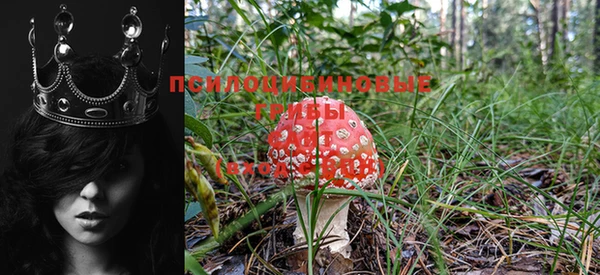 не бодяженный Бородино